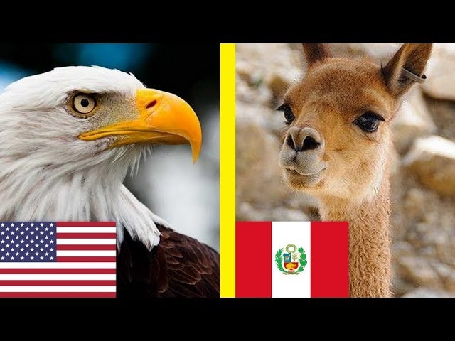 cual es el animal nacional de españa