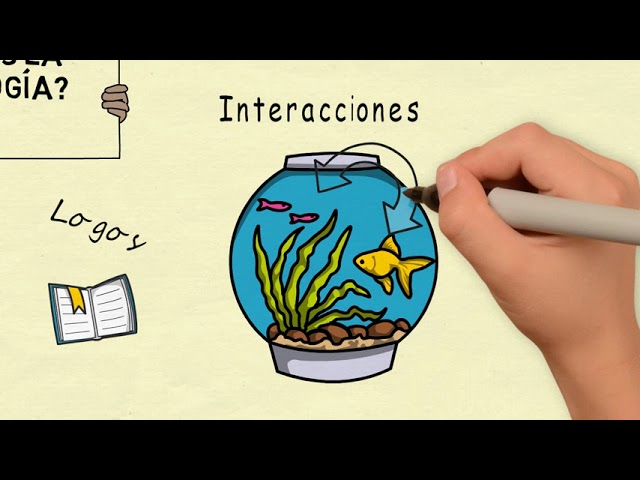 departamento regional de apoyo a la ecologia