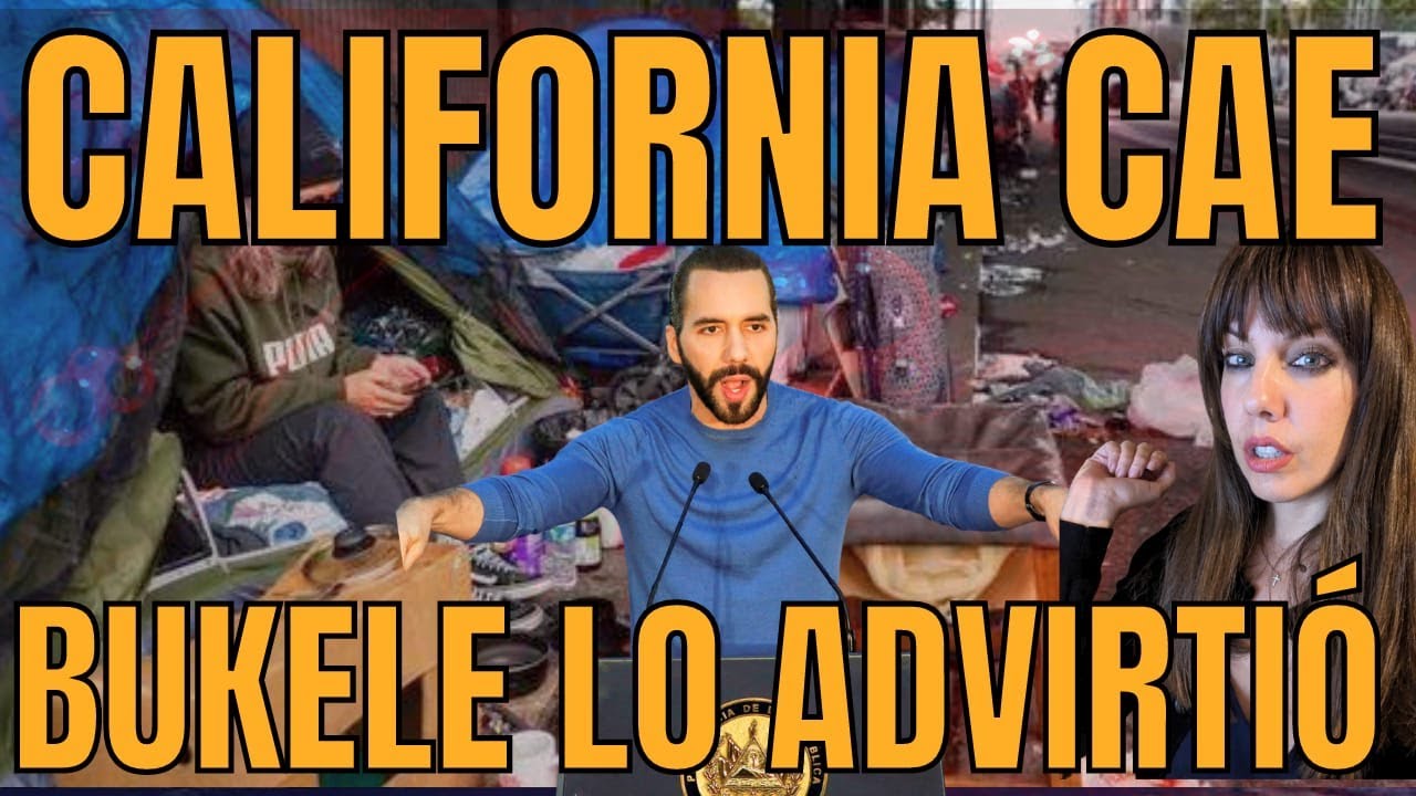 monica marin villanueva de la cañada