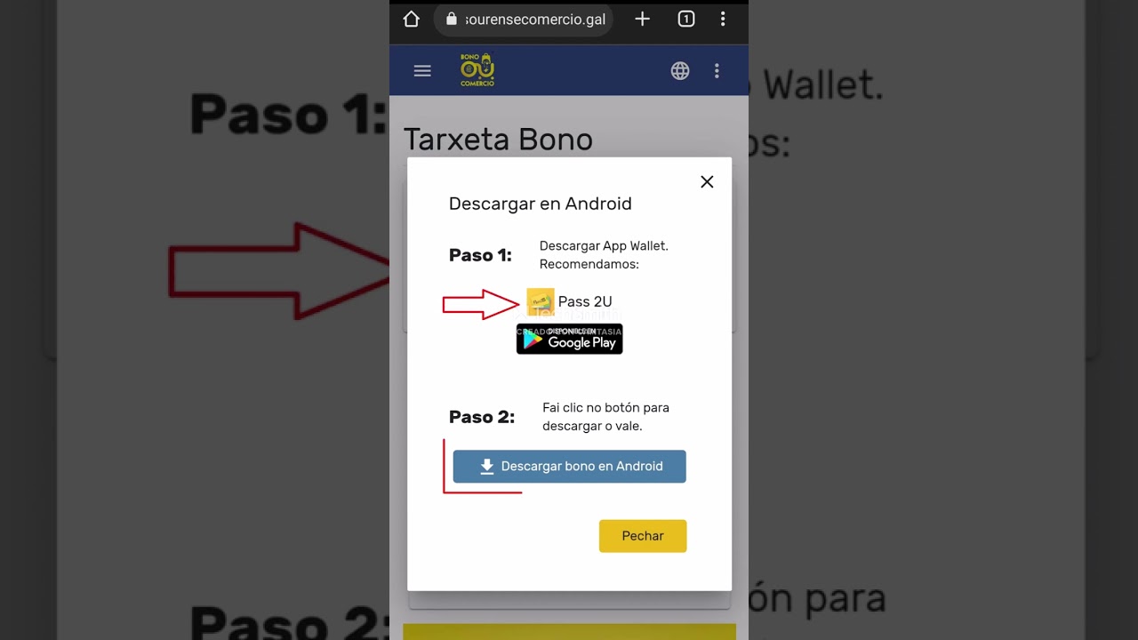 bono 100 euros ourense como solicitarlo