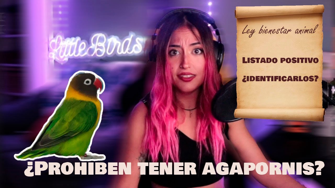 código de protección y bienestar animal