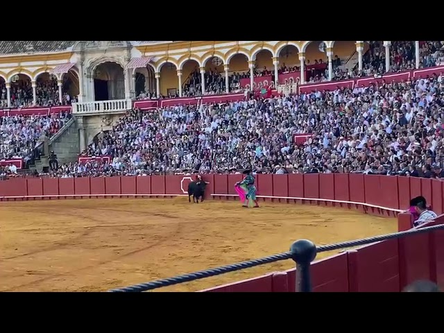 corrida de toros morante de la puebla
