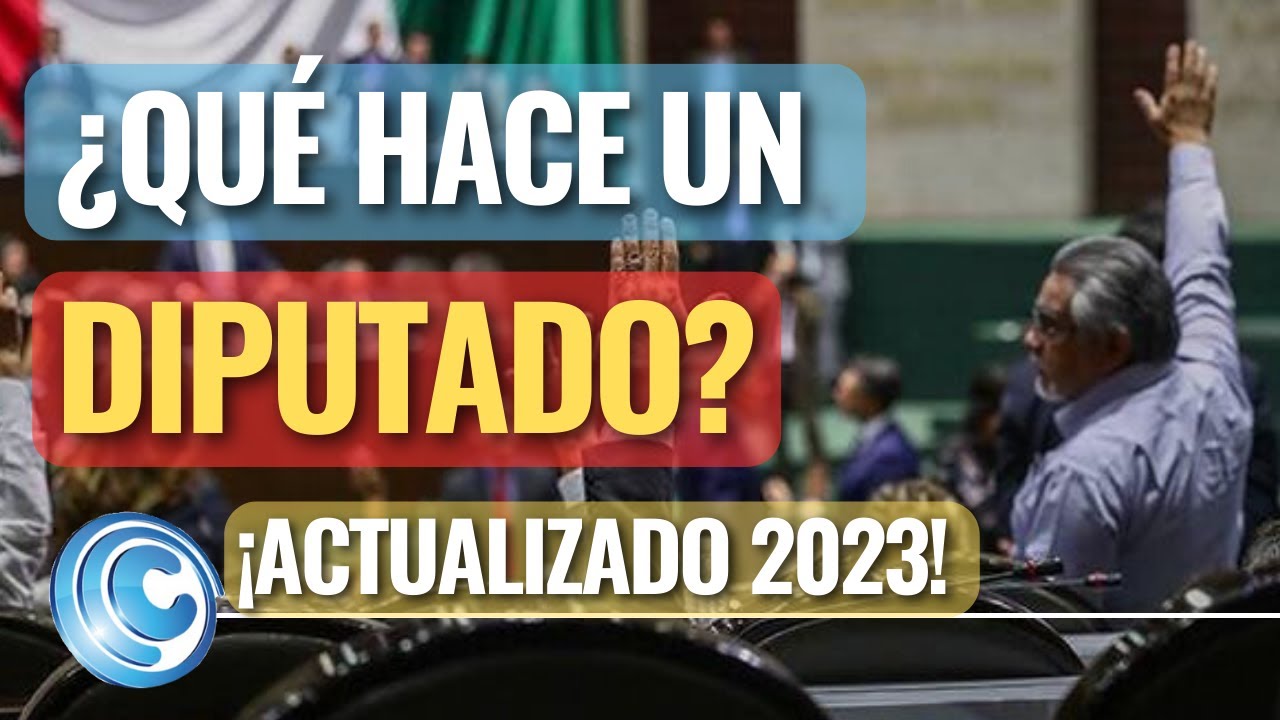 cual es el trabajo de un diputado