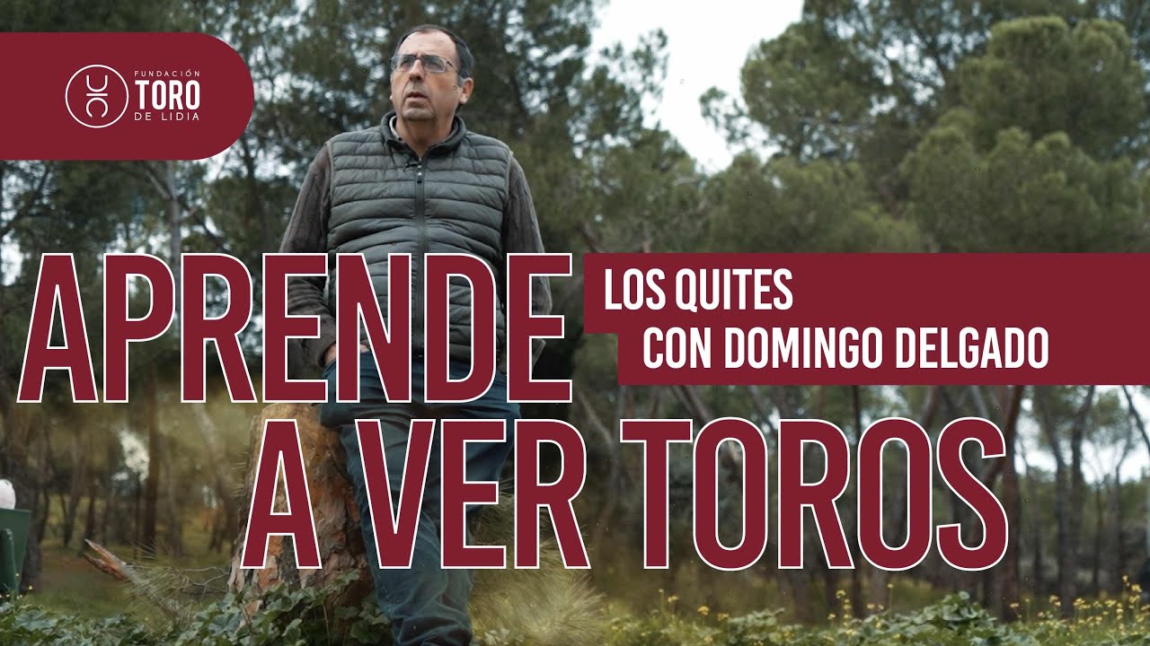 domingo delgado de la camara wikipedia