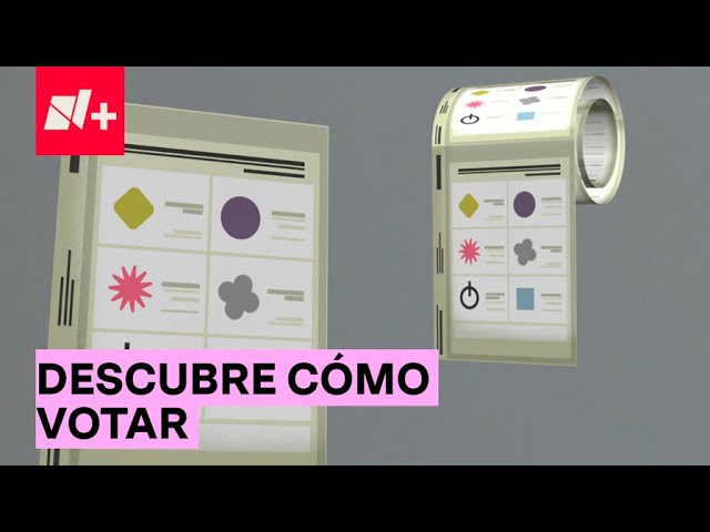 donde votar en palma de mallorca