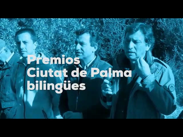elecciones ayuntamiento de palma de mallorca