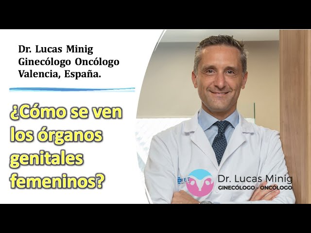 fotos de la parte de la mujer