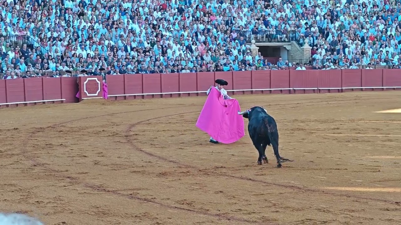 fotos de morante de la puebla