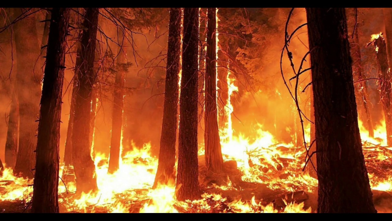 incendio la granja de san ildefonso
