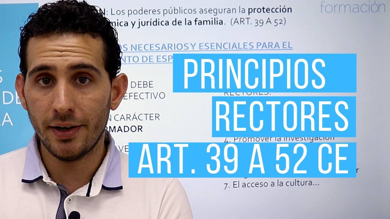 principios rectores de la política social y económica