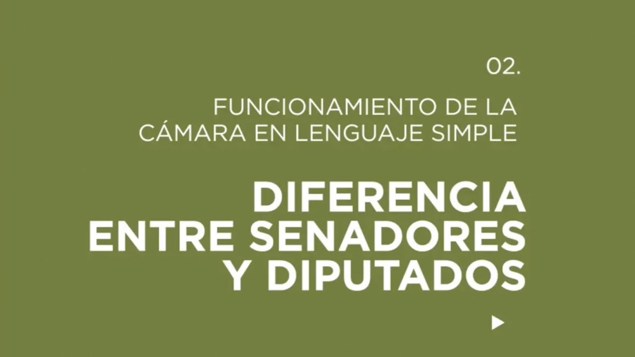 quien elige a los diputados provinciales