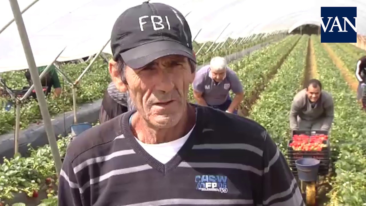 se busca gente para trabajar en el campo en moguer