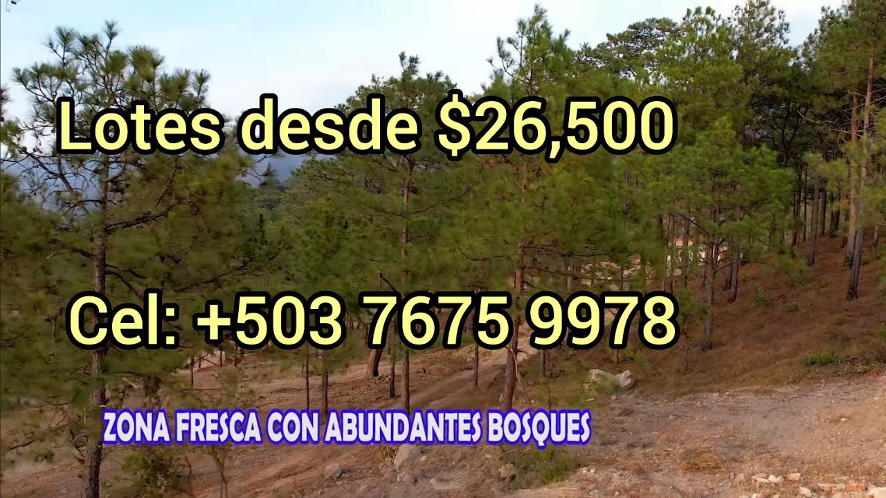 terrenos en venta en la palma