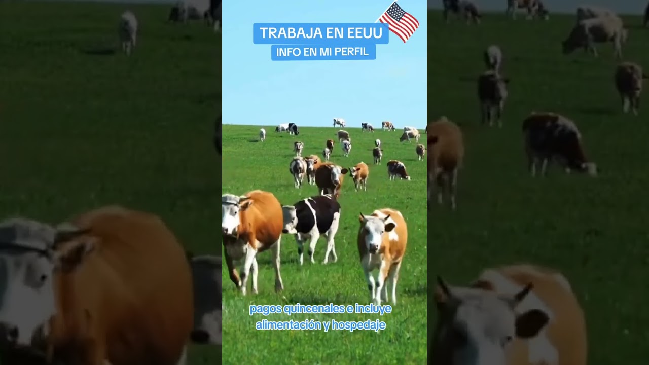 trabajo en santa coloma de gramenet