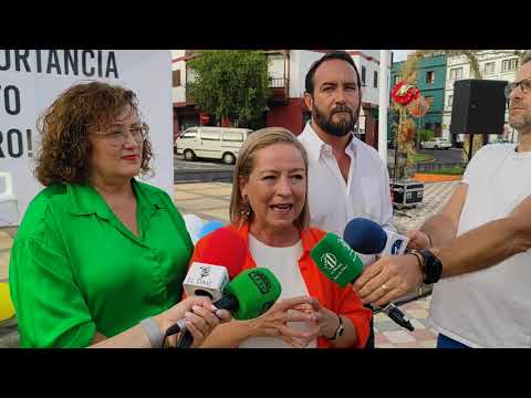 ana oramas hoy en el congreso de los diputados