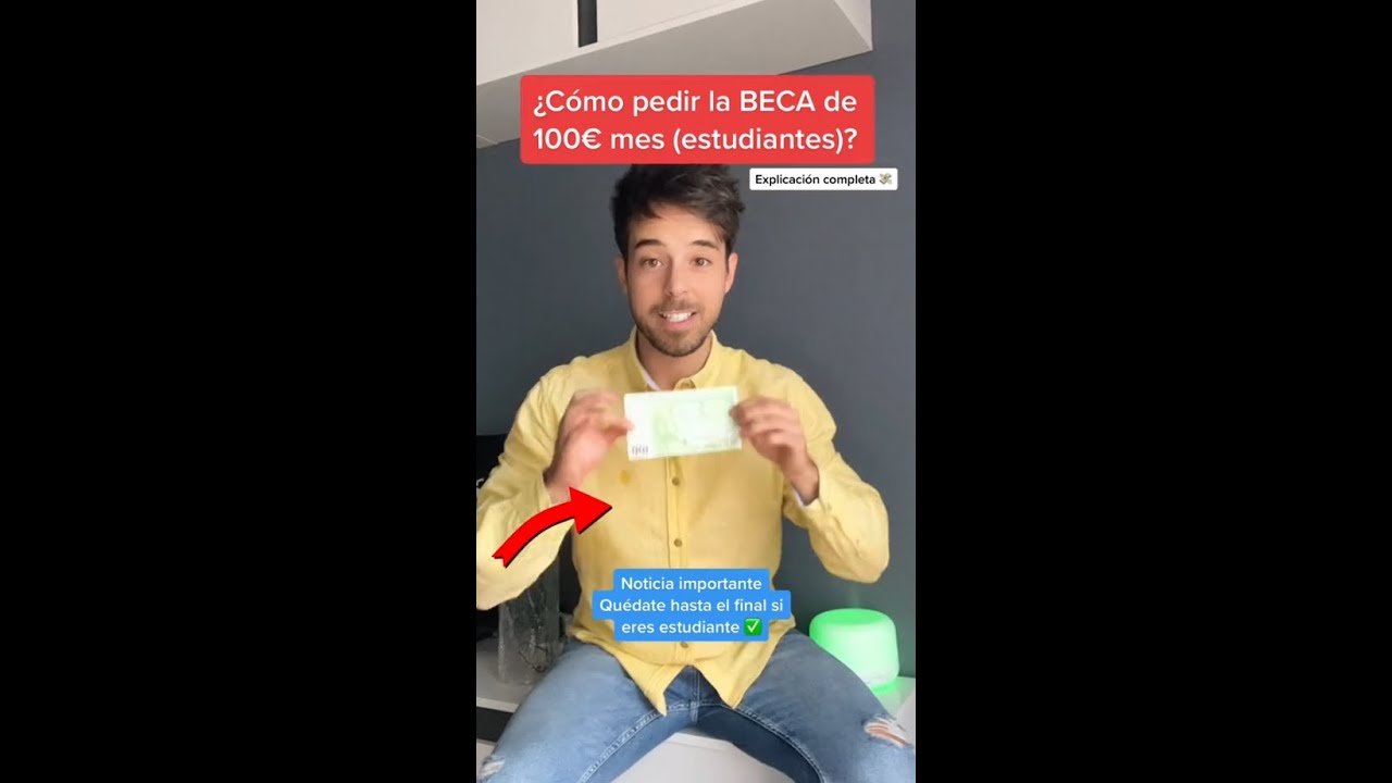 beca de 100 euros al mes