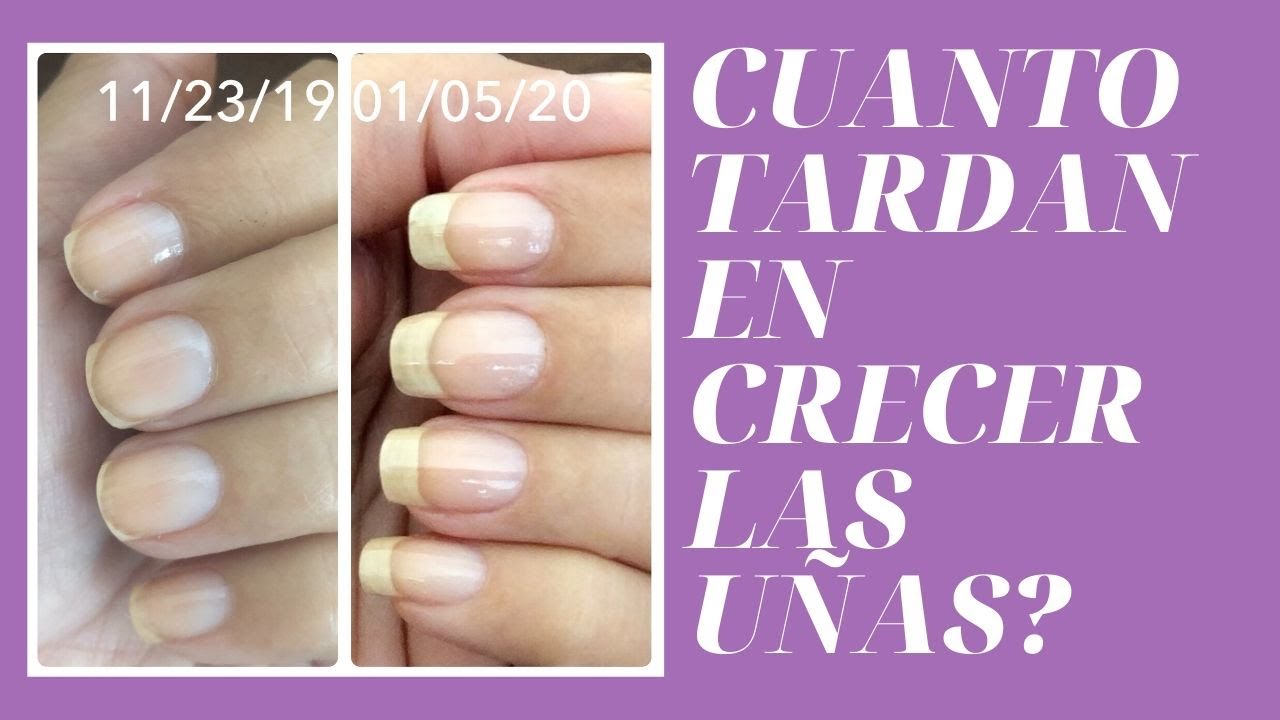 cuanto tardan las uñas en crecer 1 cm