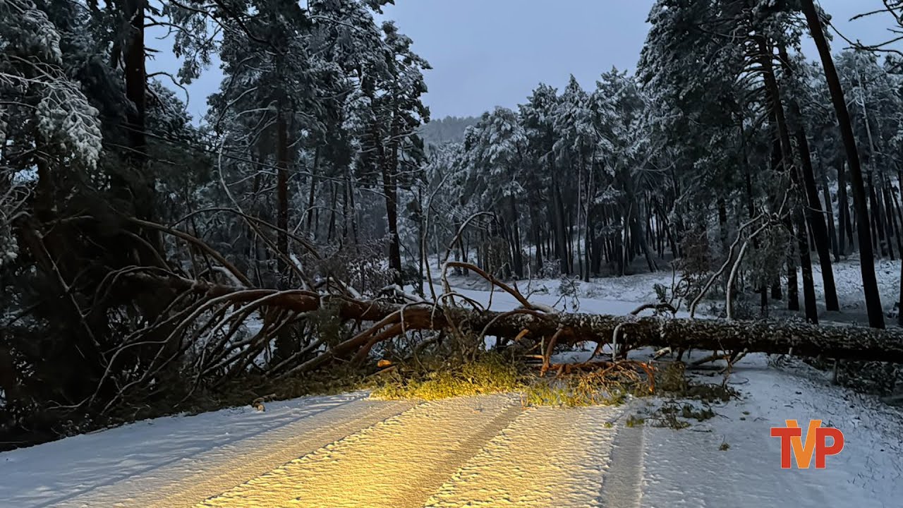 estado de la carretera de burgos