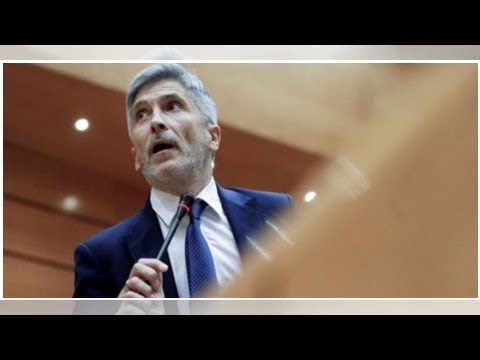 la seguridad publica es competencia exclusiva del estado
