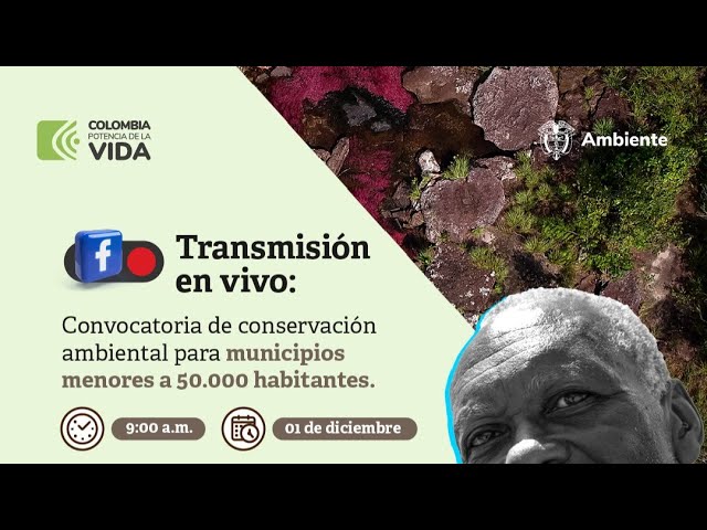 municipios de mas de 50000 habitantes