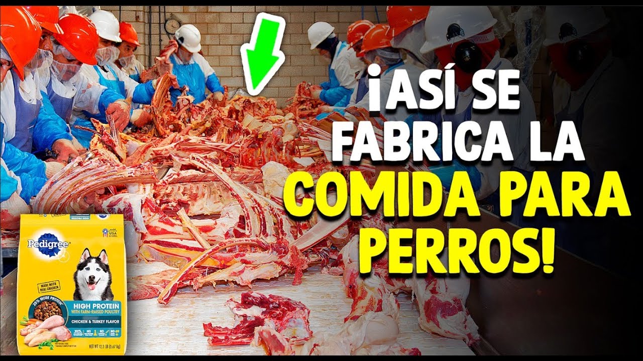 principales fabricantes de piensos en españa