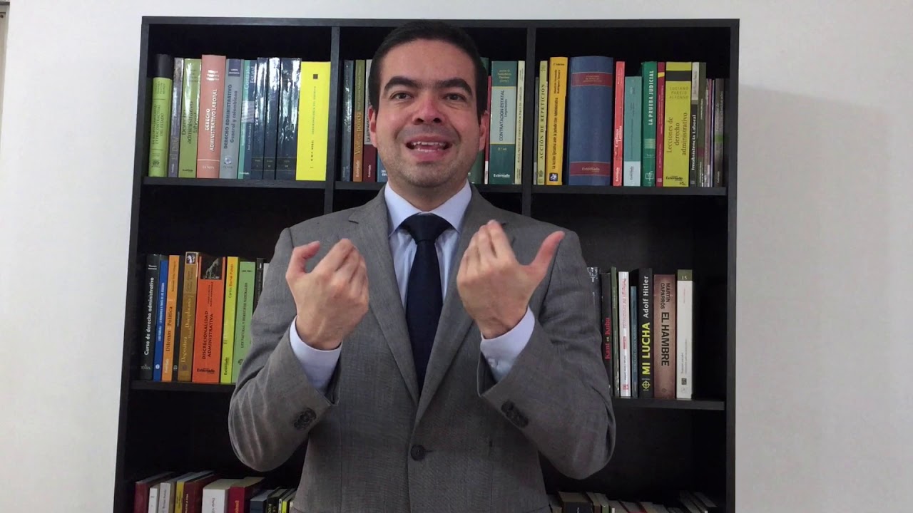 principios constitucionales en materia de función pública