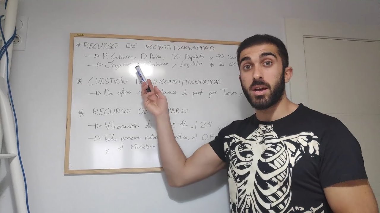 quien puede interponer recurso de inconstitucionalidad
