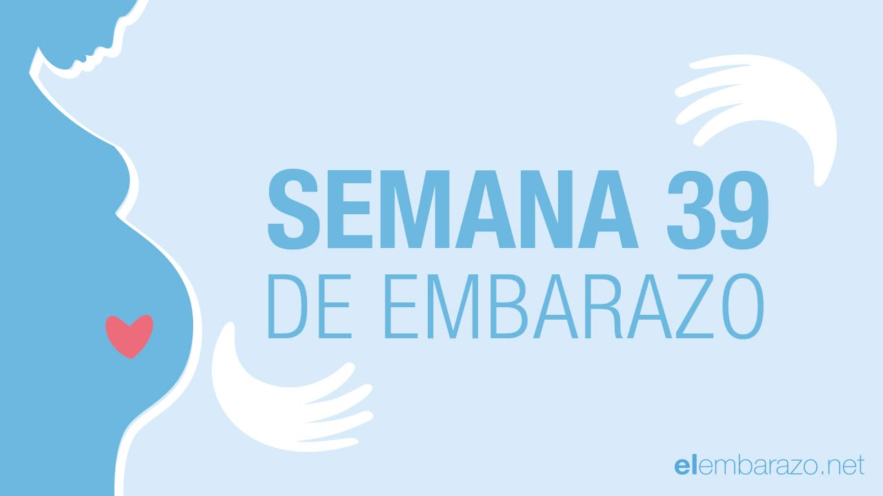 semana 39 de embarazo cuántos meses son