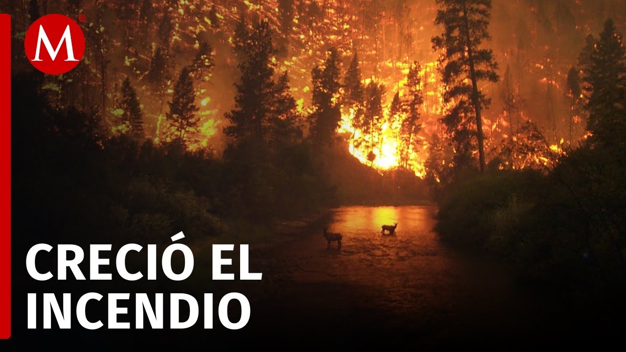 sucesos zaragoza hoy última hora incendio